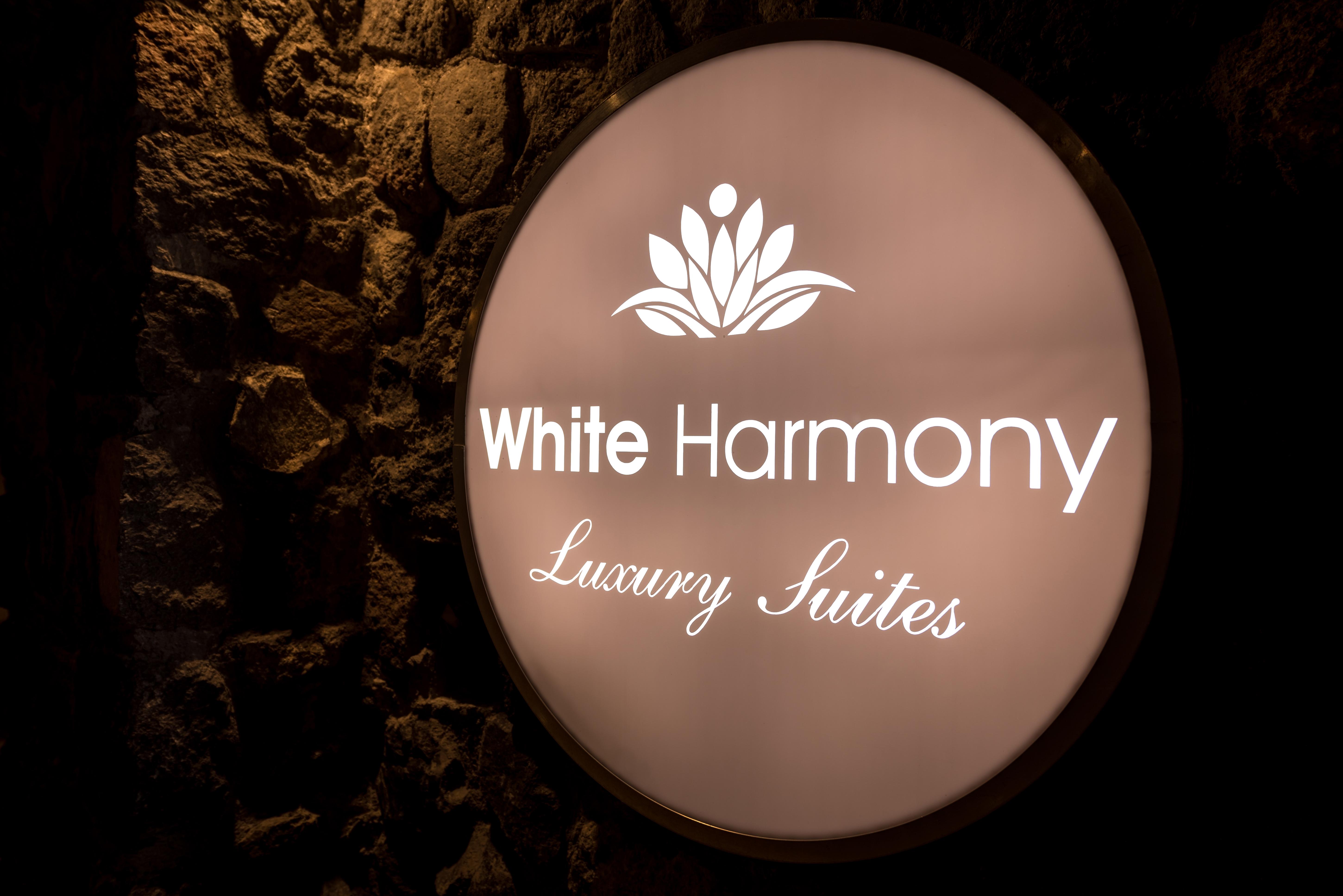 White Harmony Suites Megalochori  Buitenkant foto