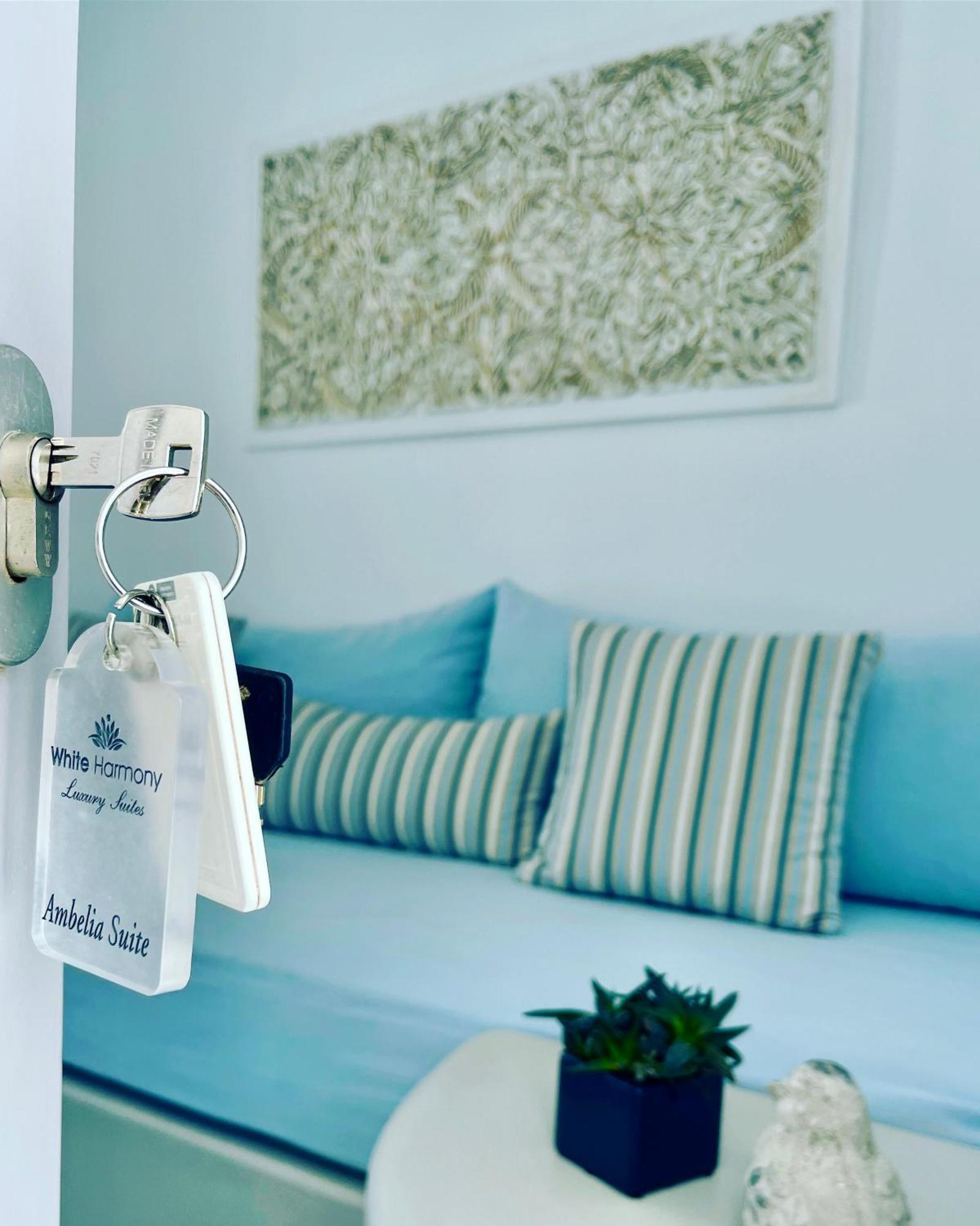White Harmony Suites Megalochori  Buitenkant foto
